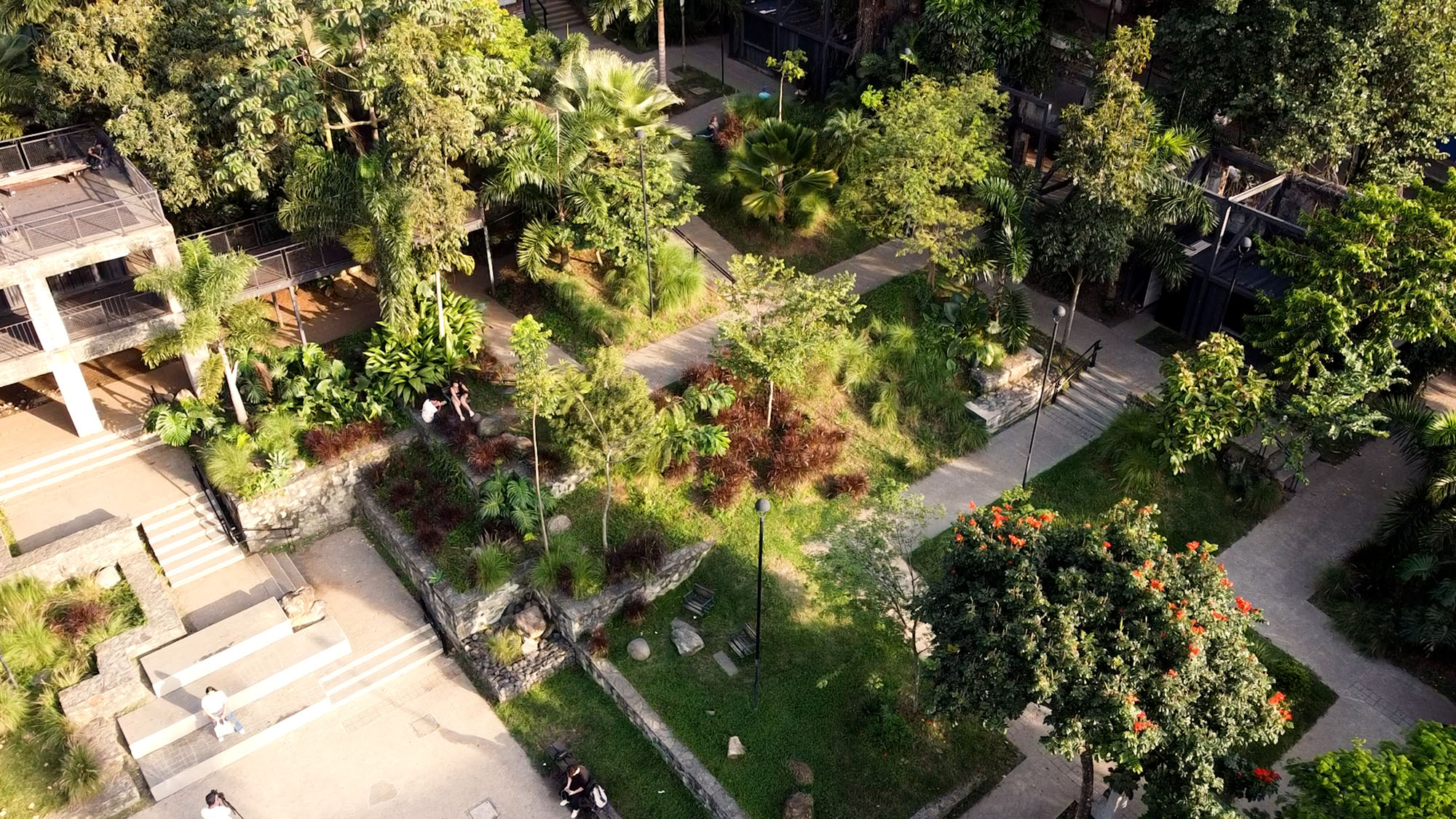 〈プラド地区の公園(Park in the Prado Neighborhood)〉Connatural