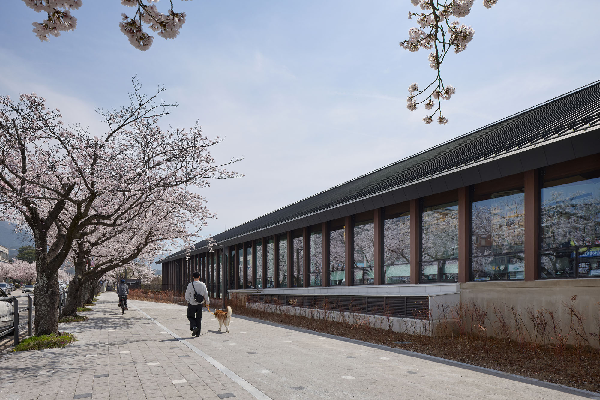 〈コチャン・ファン・ユンソク図書館 _ Under the Tree(Gochang Hwang Yunseok Library _ Under the Tree)〉ユ・ヒョンジュン+パートナーズ(Hyunjoon Yoo + Partners)