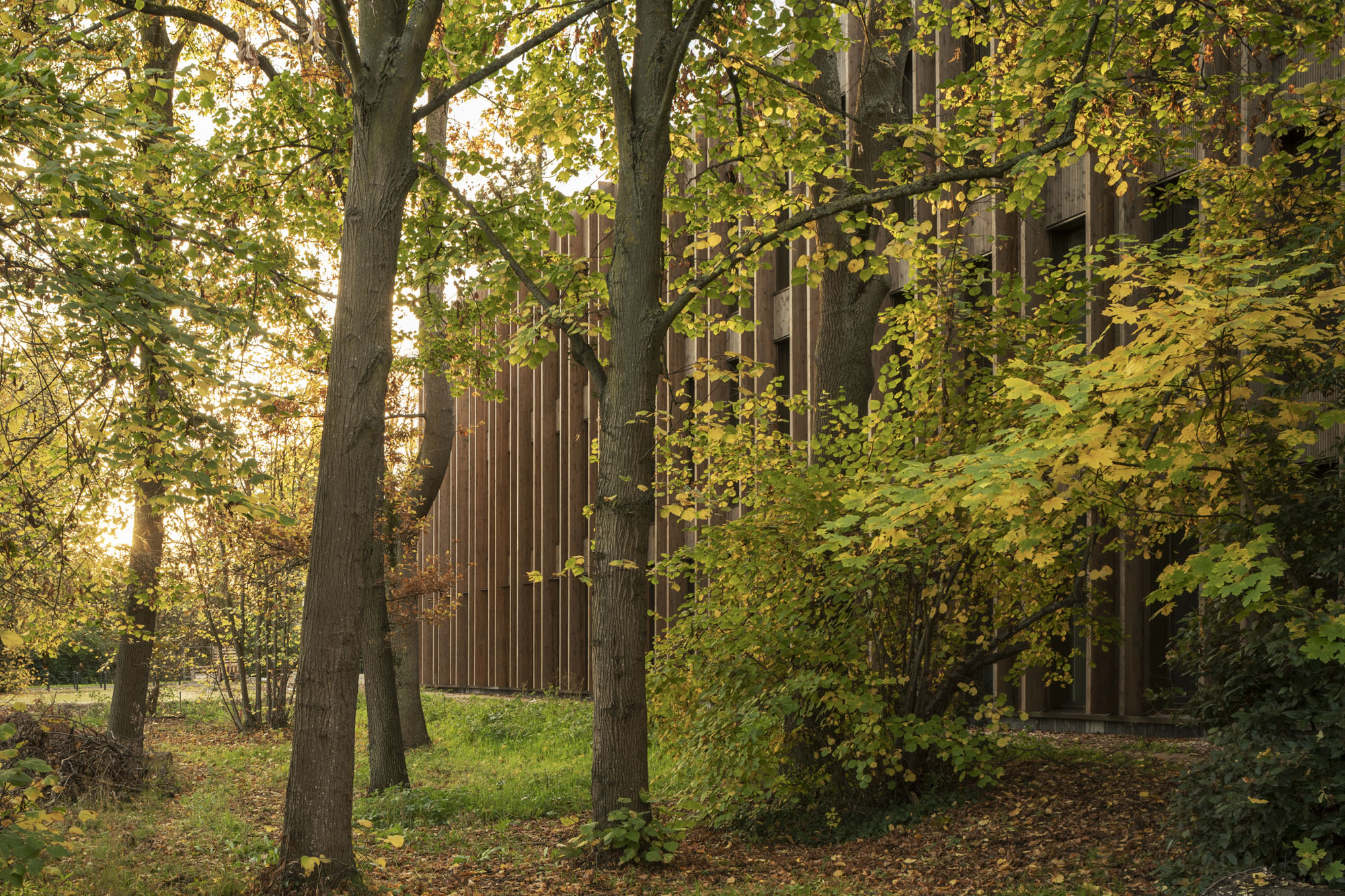 〈IXCAMPUS〉バウムシュラーガー・エベルレ・アーキテクツ（Baumschlager Eberle Architects）