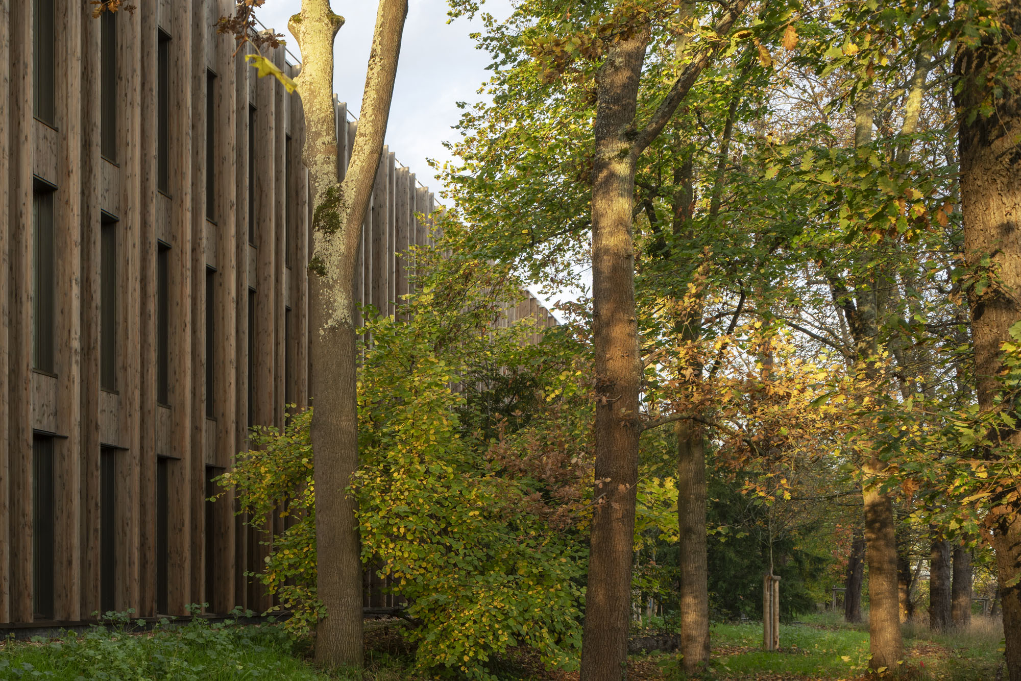 〈IXCAMPUS〉バウムシュラーガー・エベルレ・アーキテクツ（Baumschlager Eberle Architects）