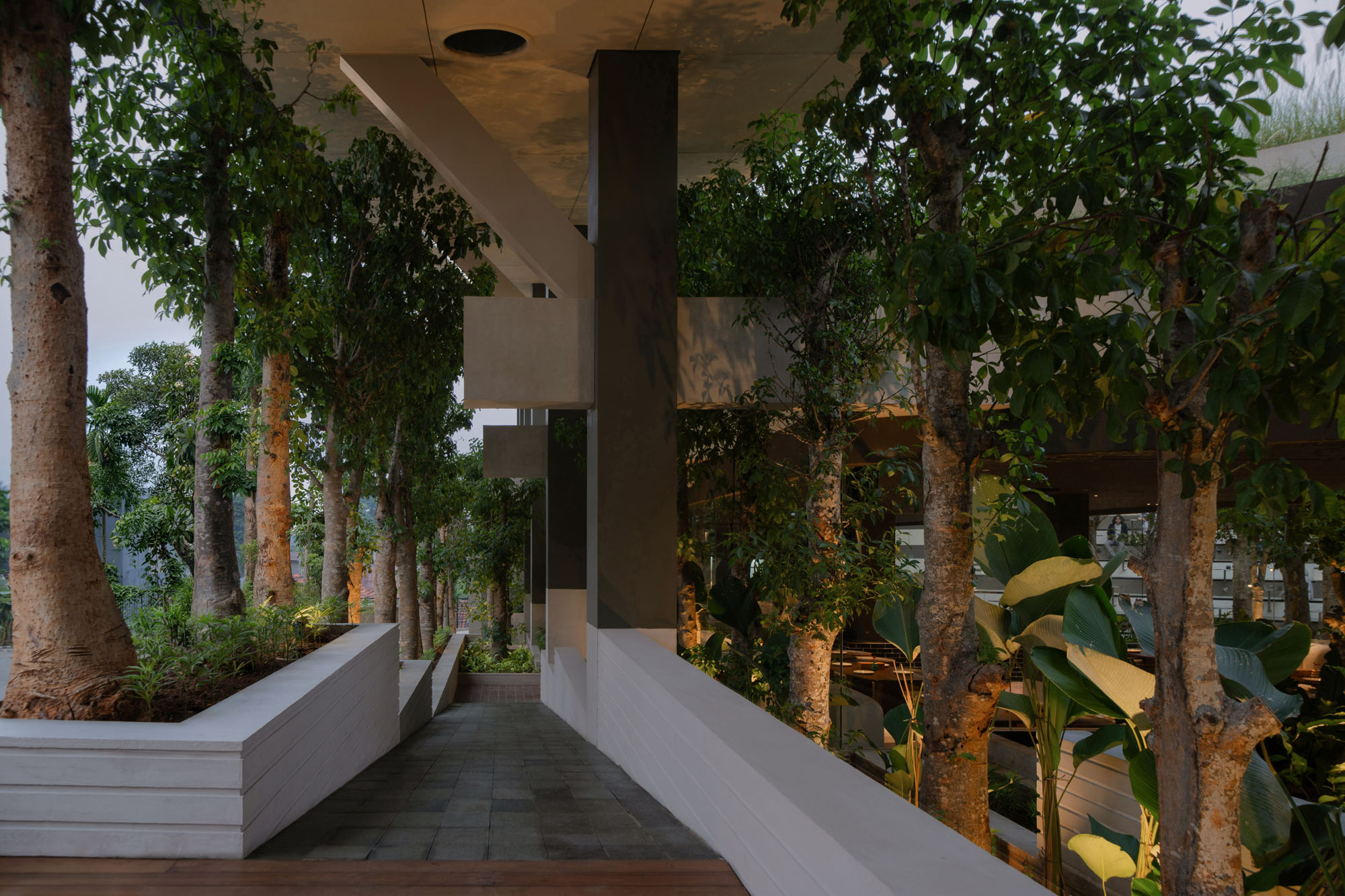 〈ミッテ・オブリーク・ガーデン(Mitte Oblique Garden)〉RAD+ar(Research Artistic Design + architecture)