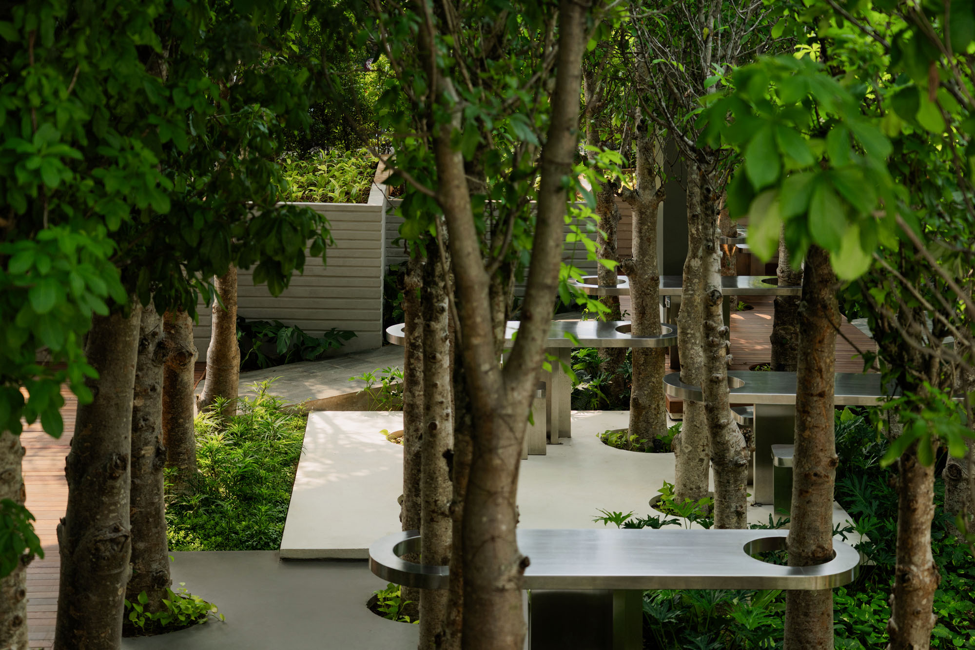 〈ミッテ・オブリーク・ガーデン(Mitte Oblique Garden)〉RAD+ar(Research Artistic Design + architecture)