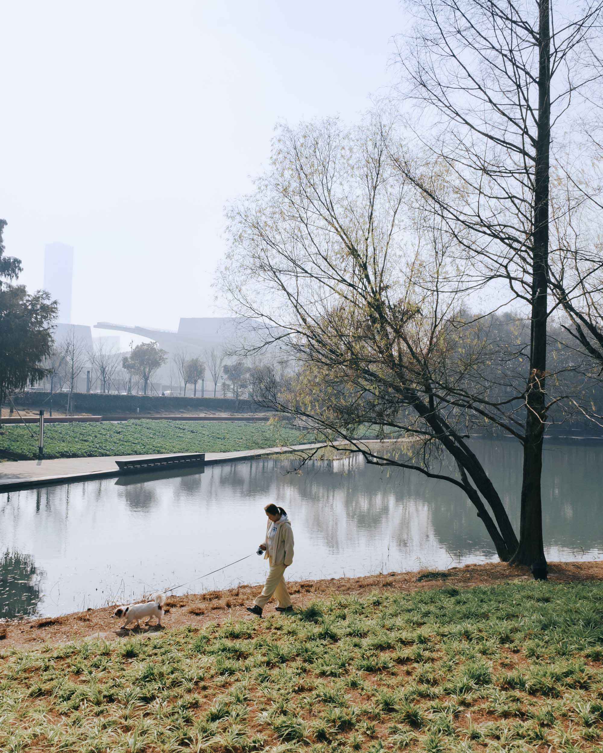 〈上海グランドオペラハウス（Shanghai Grand Opera House）〉スノヘッタ（Snøhetta）