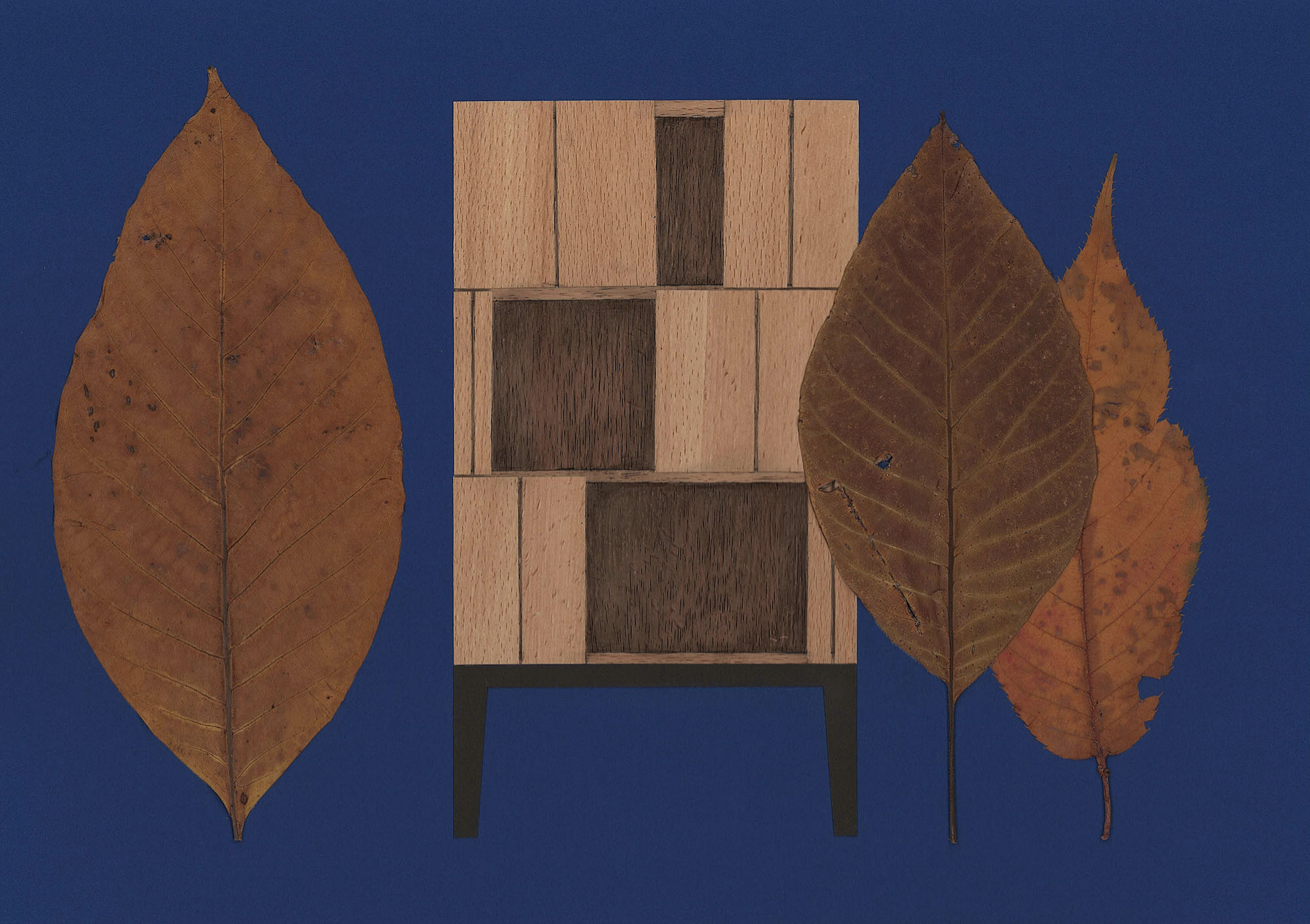 〈ワードローブ・ハウス(Wardrobe House)〉シェプカ・アーキテクツ(ŠÉPKA ARCHITEKTI)